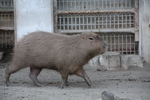 2009.01.04_ 054.jpg