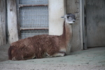 2009.01.04_ 056.jpg